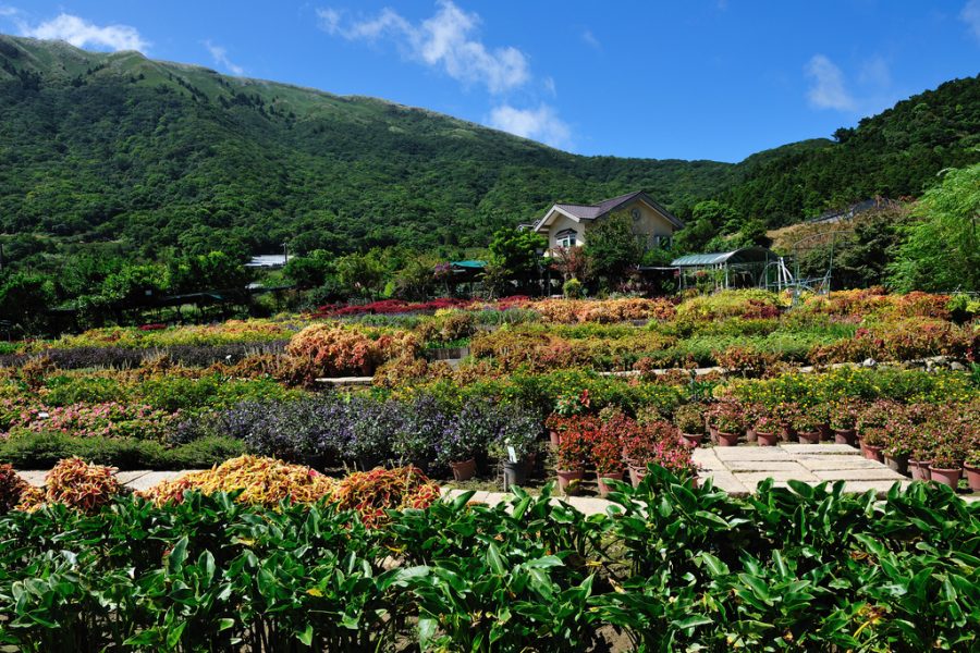 YangmingShan National Park