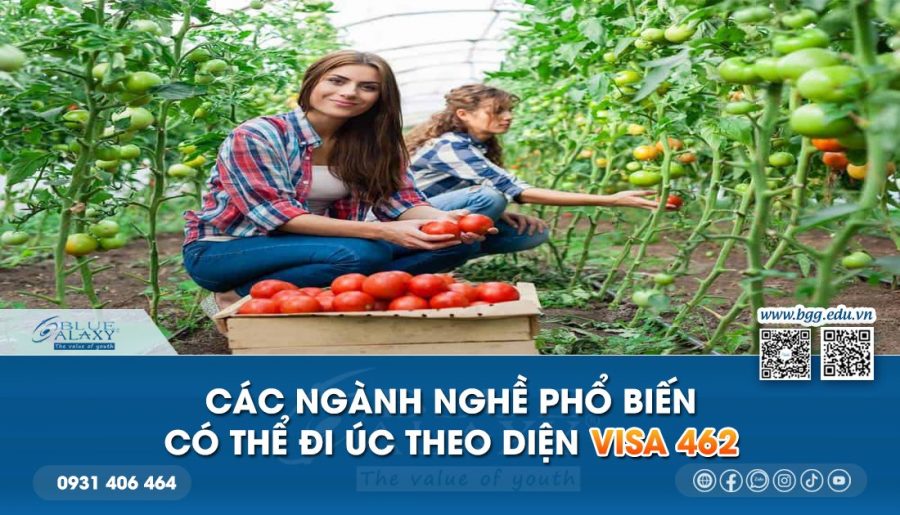 6 ngành nghề phổ biến có thể đi Úc theo diện Visa 462