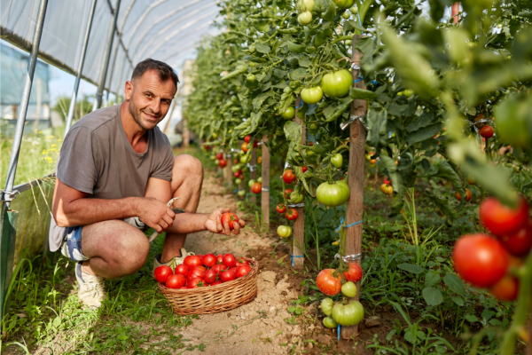 Nghề farm tại Úc cơ hội việc làm cho tất cả mọi người