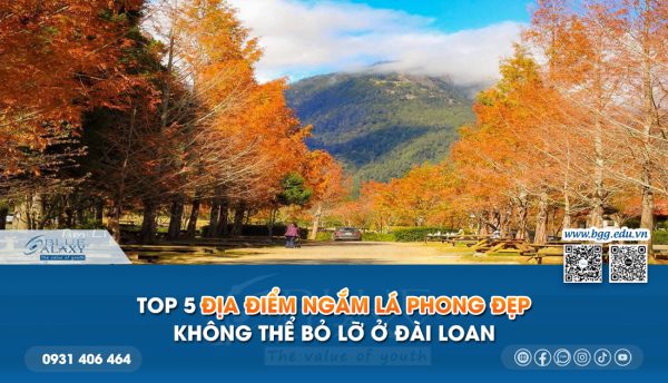 Top 5 địa điểm ngắm lá Phong tuyệt đẹp không thể bỏ lỡ tại Đài Loan