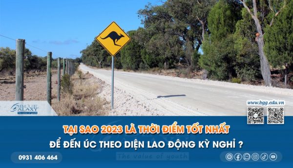 Lao Dong Ky Nghi Uc