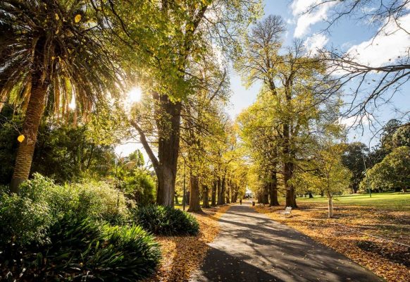 Vuon Thuc Vat Fitzroy Gardens