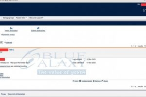 Apply Visa 462 Thanh Cong 1 300x200
