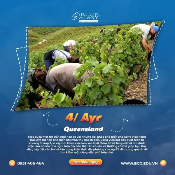 Ayr Queensland.jpg