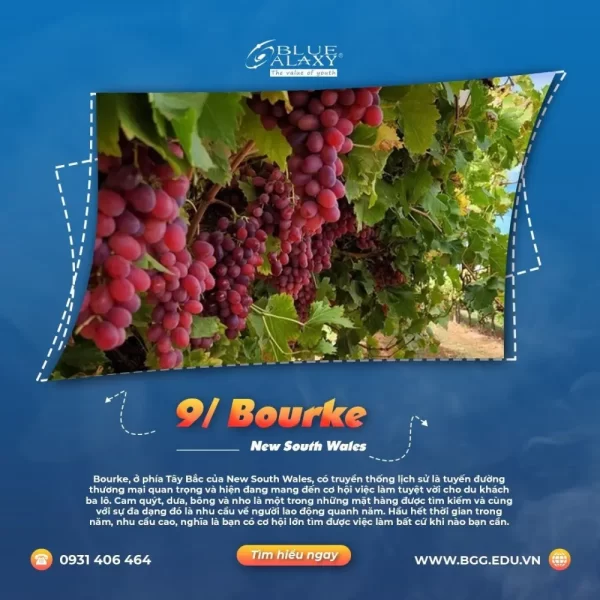 Bourke New South Wales.jpg