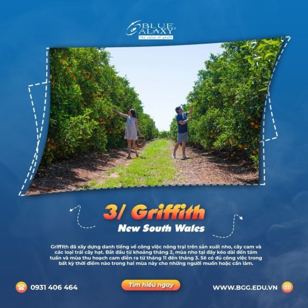 Griffith New South Wales