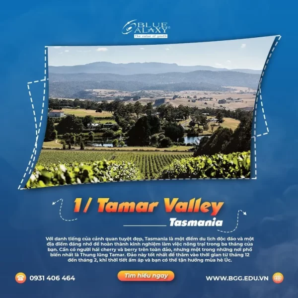 Tamar Valley Tasmania.jpg