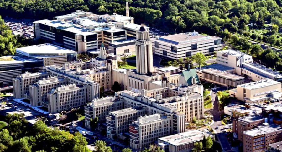 University Of Montreal