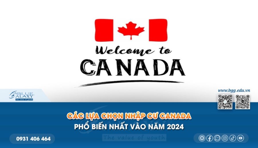 Cac Lua Chon Nhap Cu Canada Pho Bien 2024