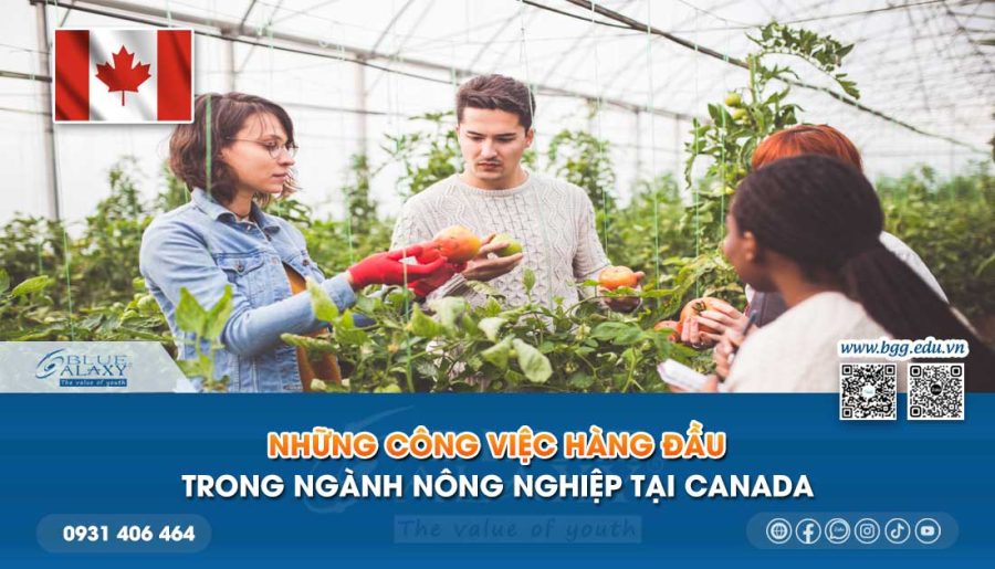 Những công việc hàng đầu trong ngành Nông nghiệp tại Canada