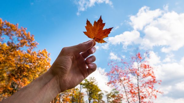 Visa Du Lịch Canada