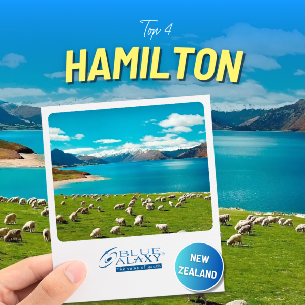Kham Pha Working Holiday Newzealand