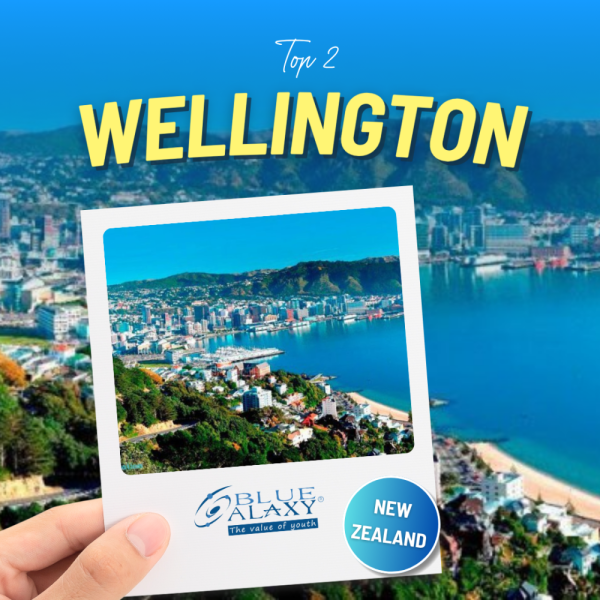 Working Holiday Newzealand 2025