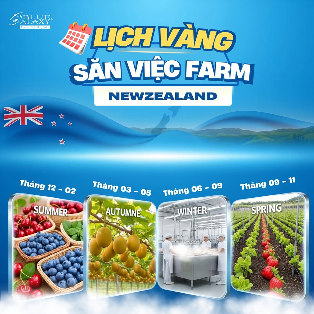 Tim Viec Working Holiday Newzealand