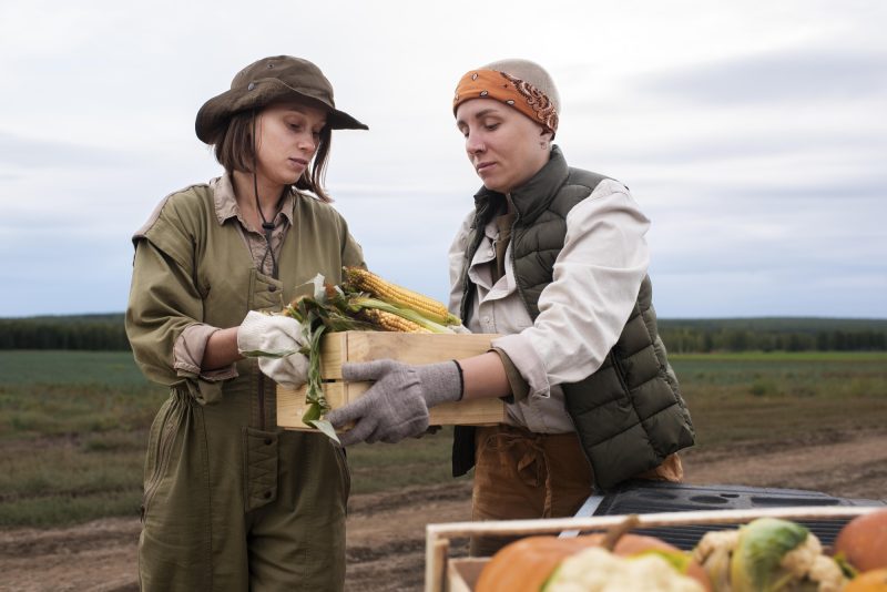 Dinh Cu Dien Tay Nghe Uc Hap Dan